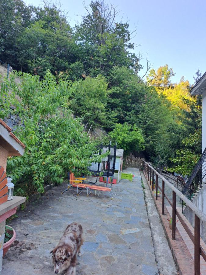 The Giaggiolo'S House Apartment Serra Ricco Exterior photo